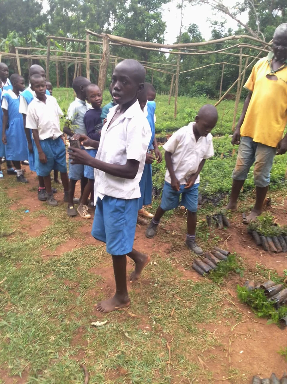 Schoolchildren gathered at the nursery as one child holds a young seedling beside an adult.