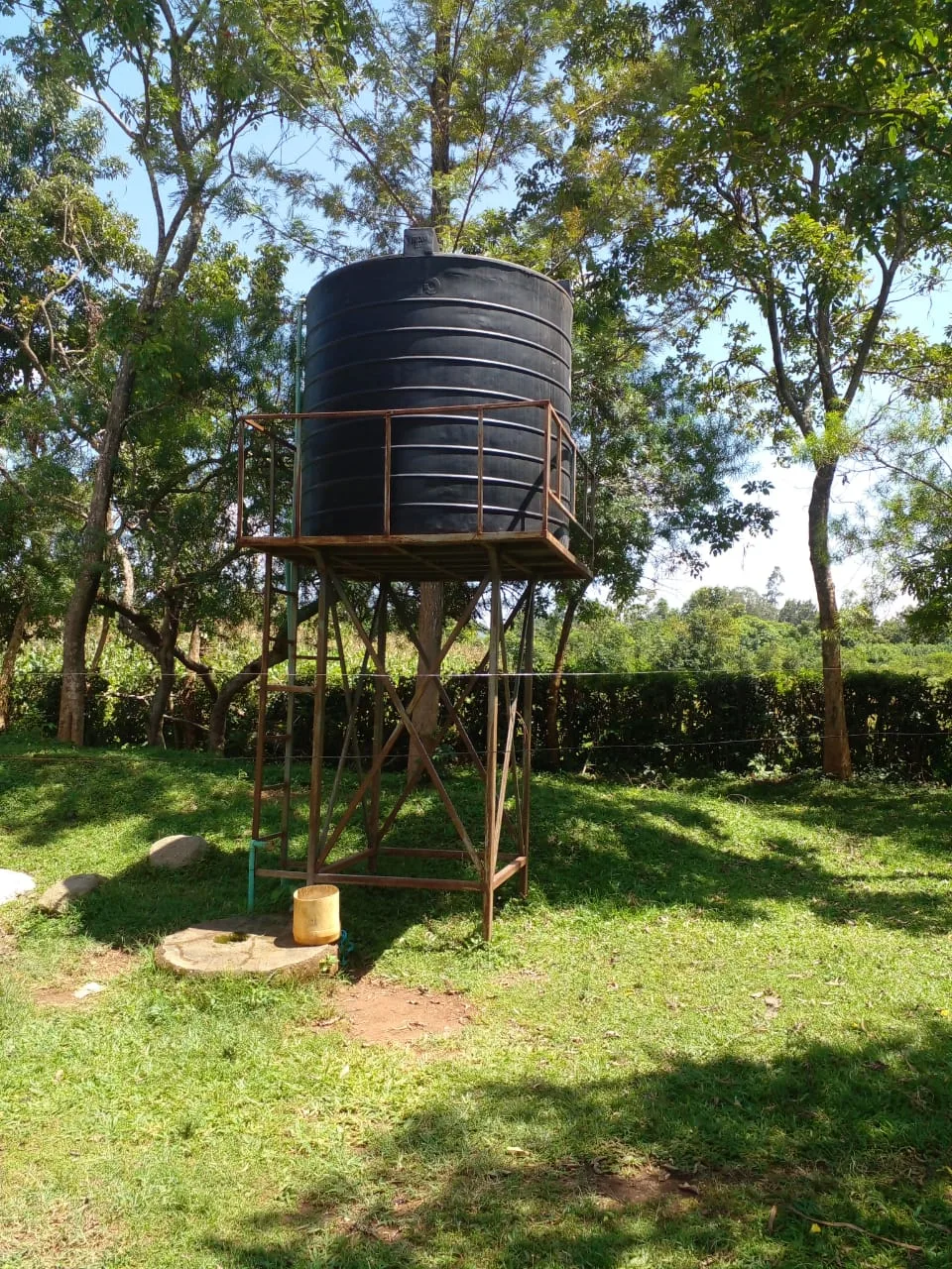 A black water-storage tank raised on a metal tower among trees.